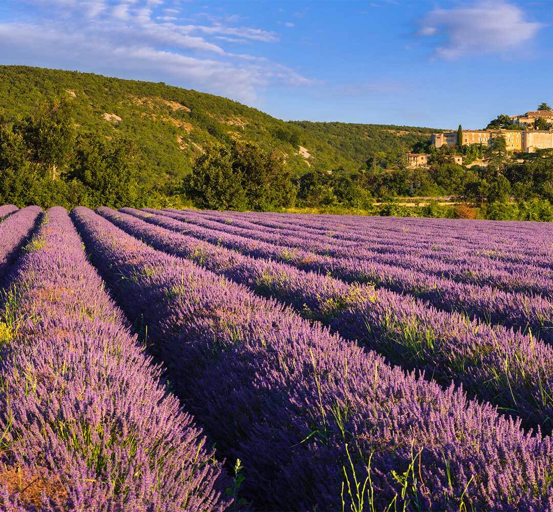 camping pas cher dans le vaucluse proche lavande