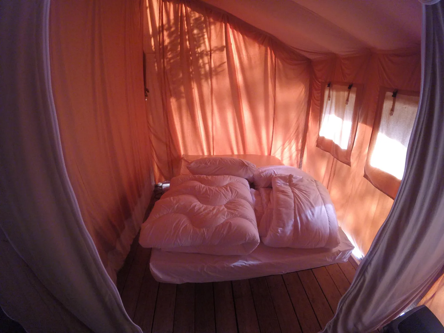 Safari Lodge